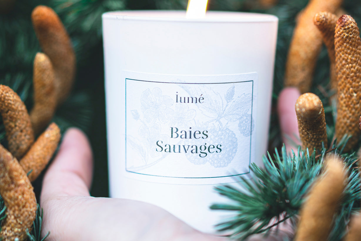 Bougie naturelle - Baies Sauvages - IUME 